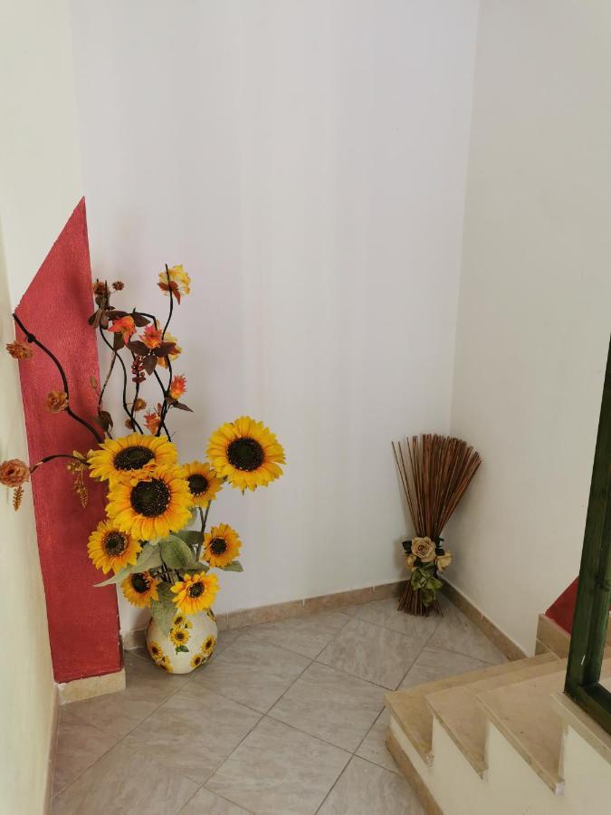 Gigiotto Apartment Syracuse ภายนอก รูปภาพ